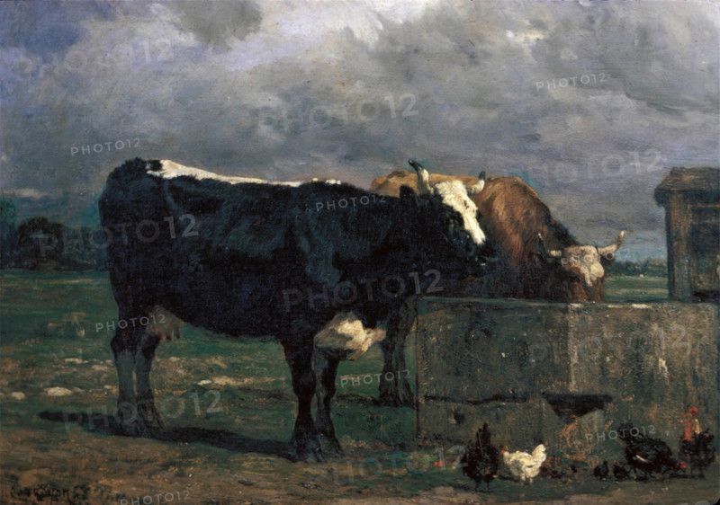 Cattle at the Trough, c1840-1860. Creator: Constant Troyon.