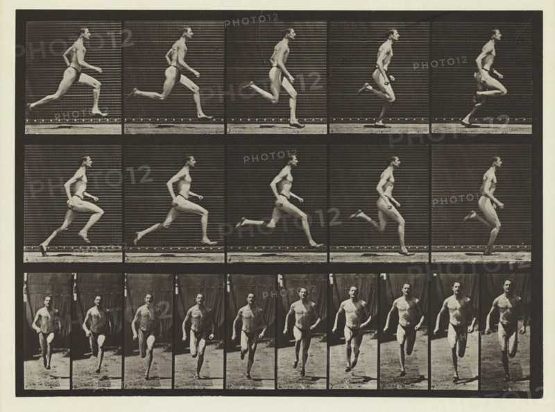Plate #60, Animal Locomotion, no date [1884-1885]. Creator: Eadweard J Muybridge.