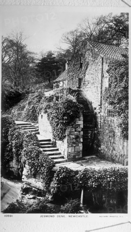 Newcastle Upon Tyne, Jesmond Dene, The Water Mill c1887. Creator: Unknown.