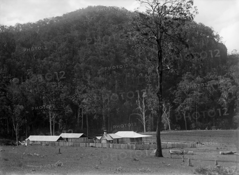 Robert Augustus Henry L'Estrange's "Homestead" Canungra, c1880s. Creator: Robert Augustus Henry L'Estrange.