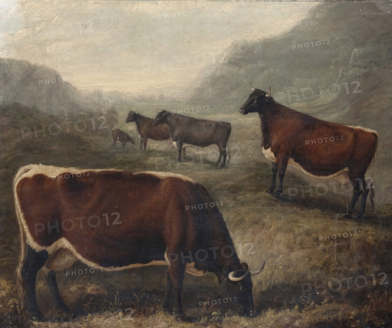 Five Glamorgan Cattle, 1835. Creator: William Shiels.