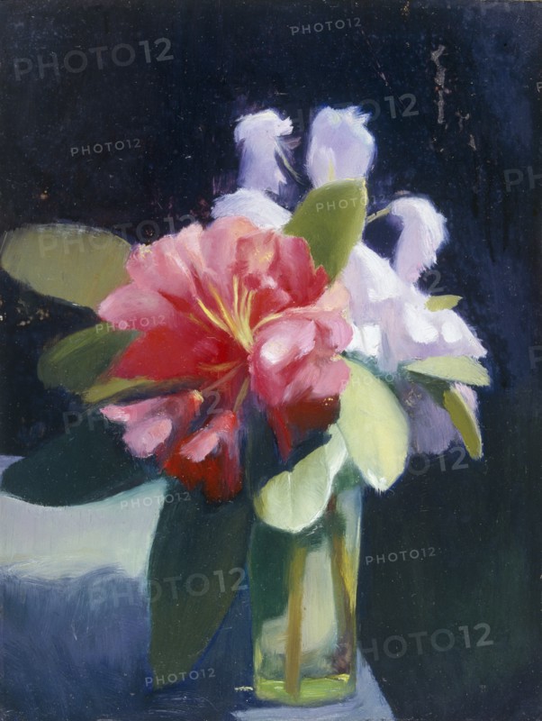 Rhododendrons , 1913. Creator: Edgar Herbert Thomas.