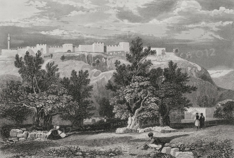 Garden of Olives, Jerusalem, 1840. Creator: Aubert.