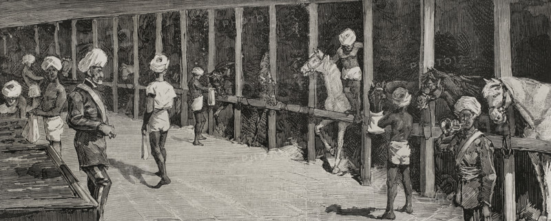 Second Afghan War (1878-1880): Transfer of a Bengal cavalry regiment from Malta to Bombay...1878.  Creator: Bernardo Rico.