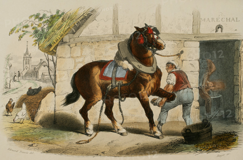 The draft horse, 1856. Creator: Edouard Travies.