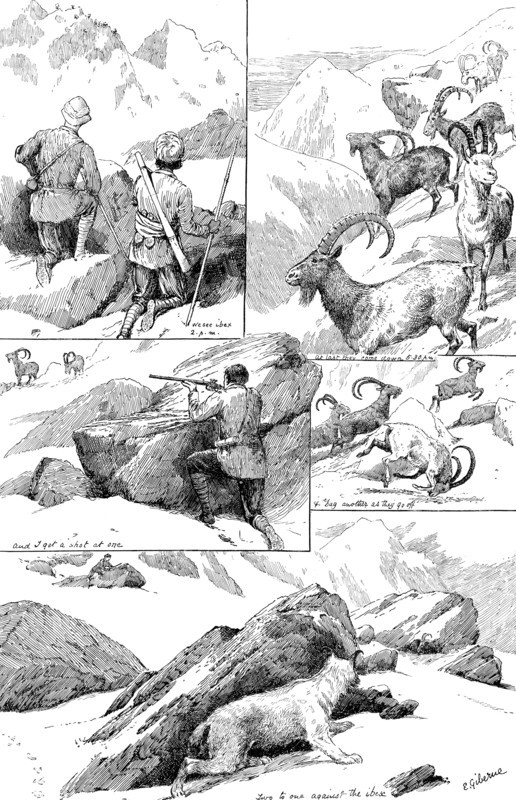 Ibex-shooting in the Shigar Nullahs, Baltistan, Himalayas, 1890. Creator: Unknown.