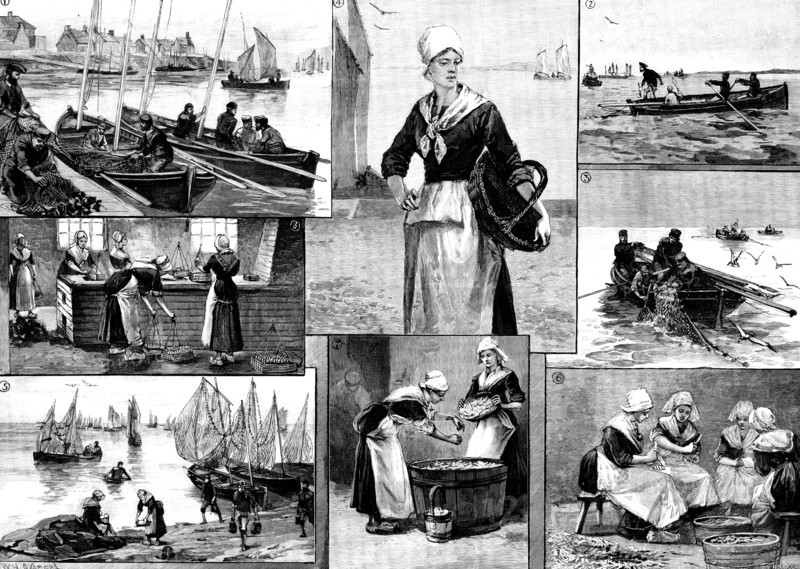 The French Sardine Industry, 1890. Creator: R. Taylor.