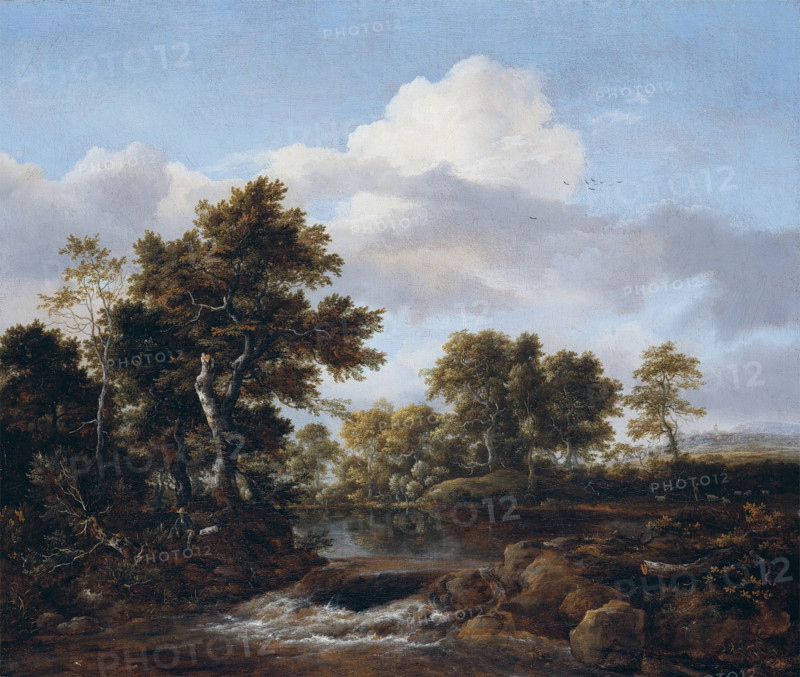 Wooded Landscape with a Stream, between 1665 and 1668. Creator: Jacob van Ruisdael.