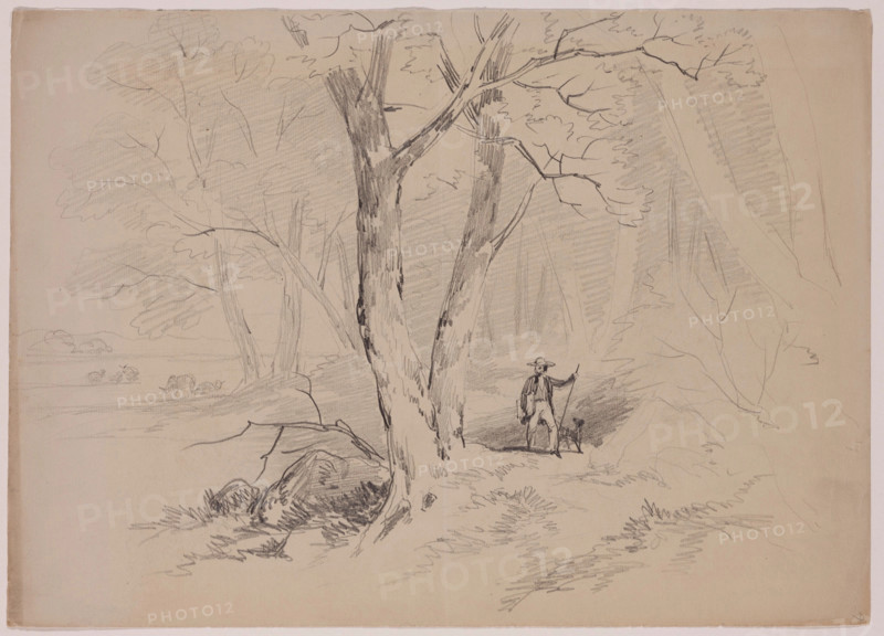 Man and Dog in the Woods, 19th century. Creator: John William Casilear.