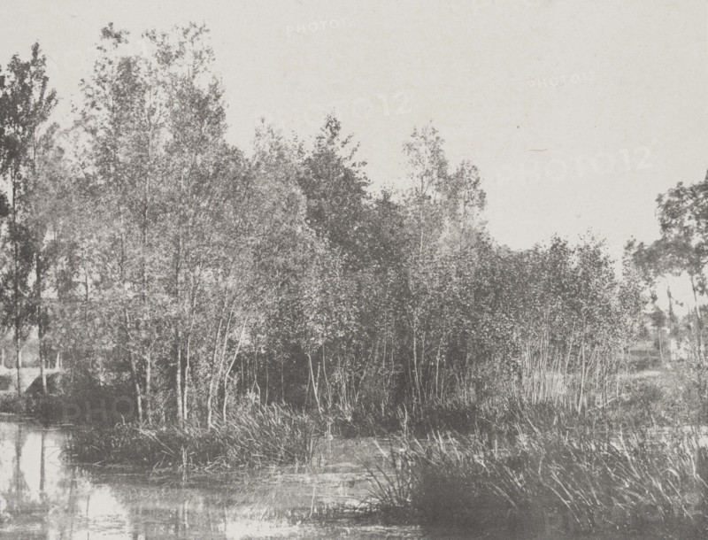 A Marsh, c1852. Creator: Adalbert Cuvelier.