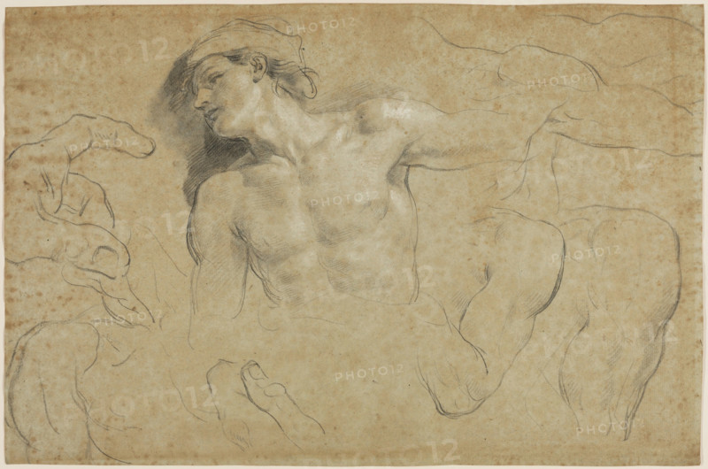 Studies of a Male Torso with Additional Studies of Hands, Shoulders, and a Leg, between 1650 & 1719. Creator: Carlo Cignani.