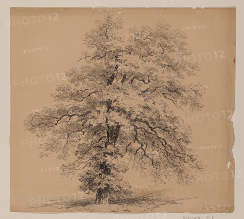 Switzerland, September 15, 1840. Creator: John William Casilear.