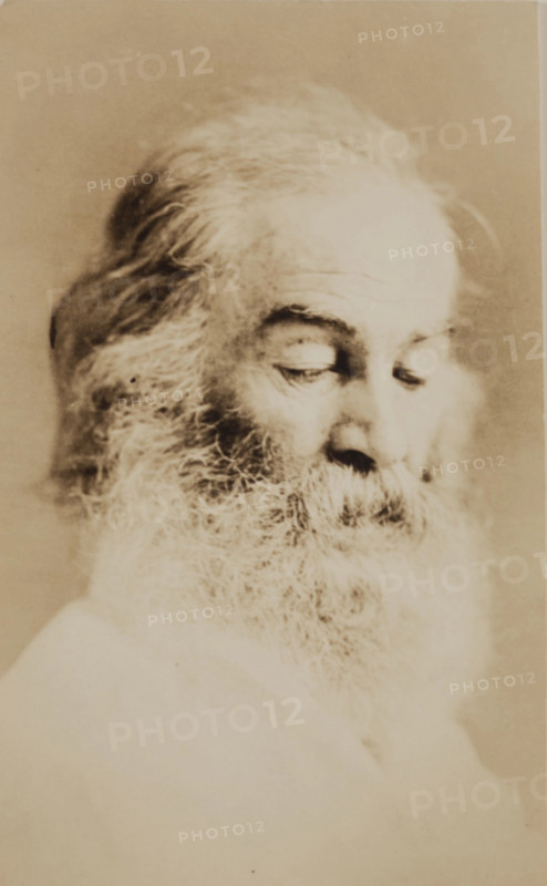 Walt Whitman, c1861. Creator: Unknown.