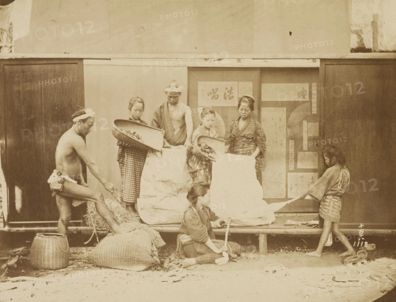 Filling Mattresses, 1884. Creator: Unknown.