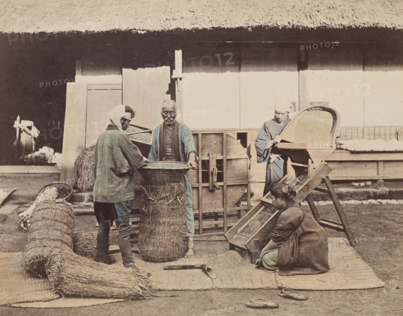 Sacking Grain, c1885. Creator: Unknown.