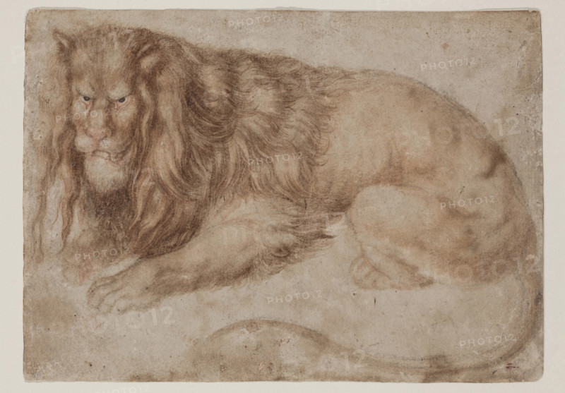 Recumbent Lion, between 1494 and 1495. Creator: Albrecht Durer.