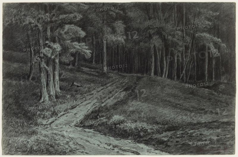 Entrance to the Forest near Kelheim, 1871. Creator: Carel Nicolaas Storm.