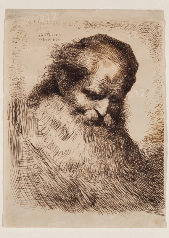 Head of an Old Man, mid-17th century. Creator: Giovanni Benedetto Castiglione.