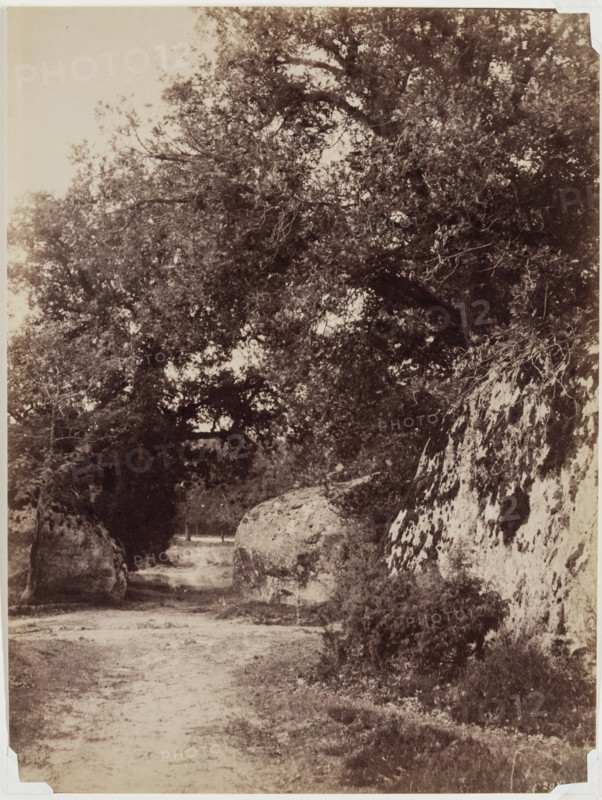 Forest Path, c1853. Creator: Eugène Cuvelier.