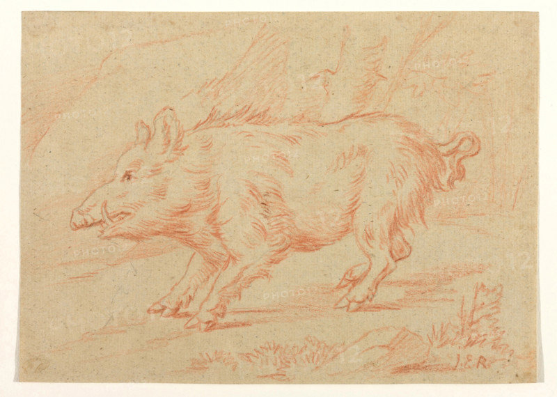 Wild Boar, between 1698 and 1769. Creator: Johann Elias Ridinger.