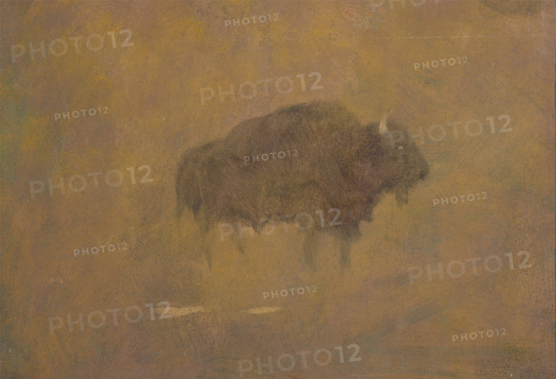 Buffalo in a Sandstorm, 19th century. Creator: Albert Bierstadt.