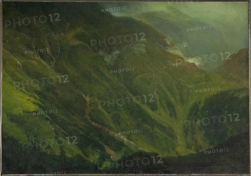 Mountain Gorge, 19th century. Creator: Albert Bierstadt.