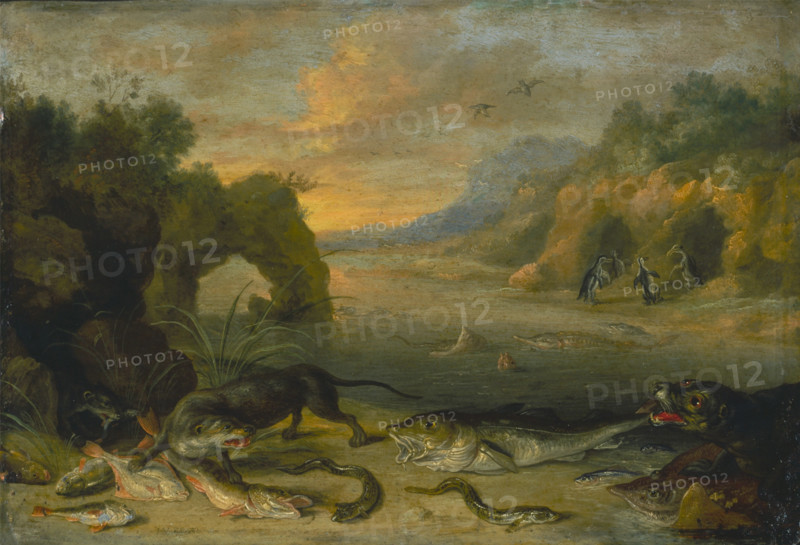 Water, between 1660 and 1670. Creator: Jan van Kessel.