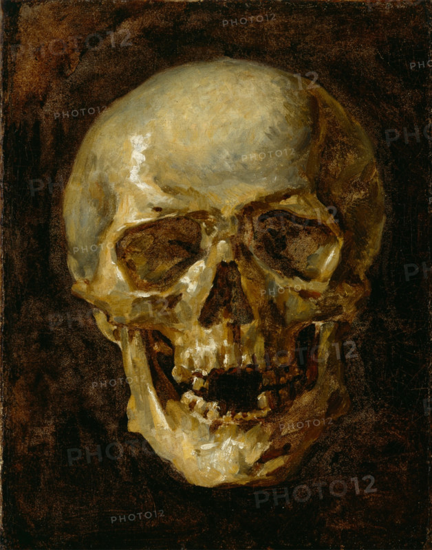 Skull, 19th century. Creator: Unknown.