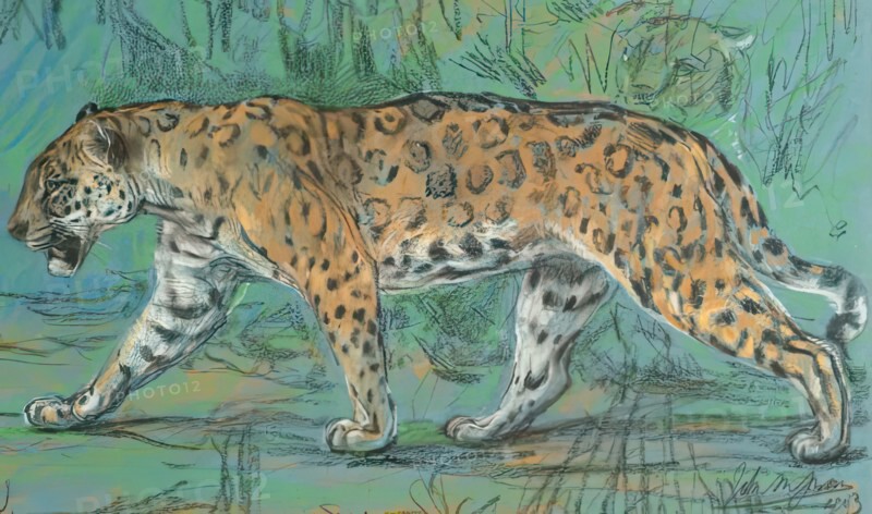 Jaguar Walking, 1903. Creator: John MacAllan Swan.