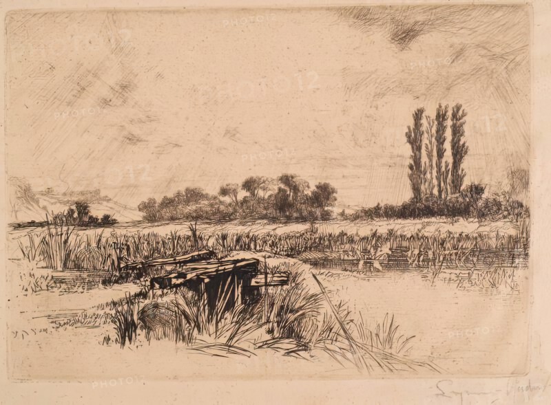 Water Meadows, c1859. Creator: Francis Seymour Haden.