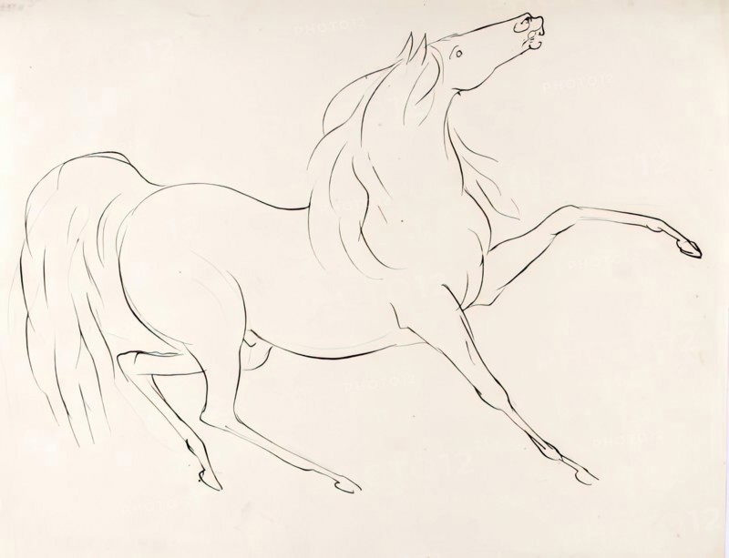 A Horse, 1825-1839. Creator: James Howe.