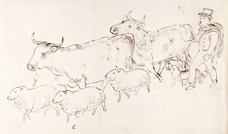 A Shepherd and His Dog Guarding a Flock of Sheep and Cows, 1825-1839. Creator: James Howe.