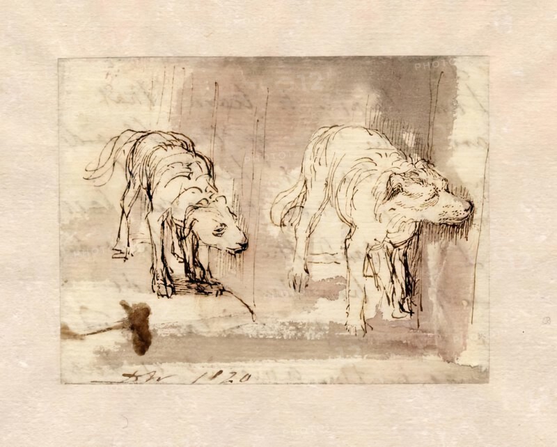 Study of Dogs, 1820. Creator: David Wilkie.