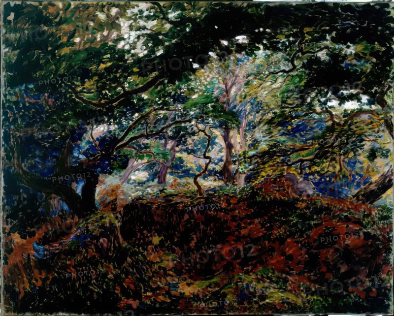 Sous-Bois, 1908-1910. Creator: Georges Lacombe.