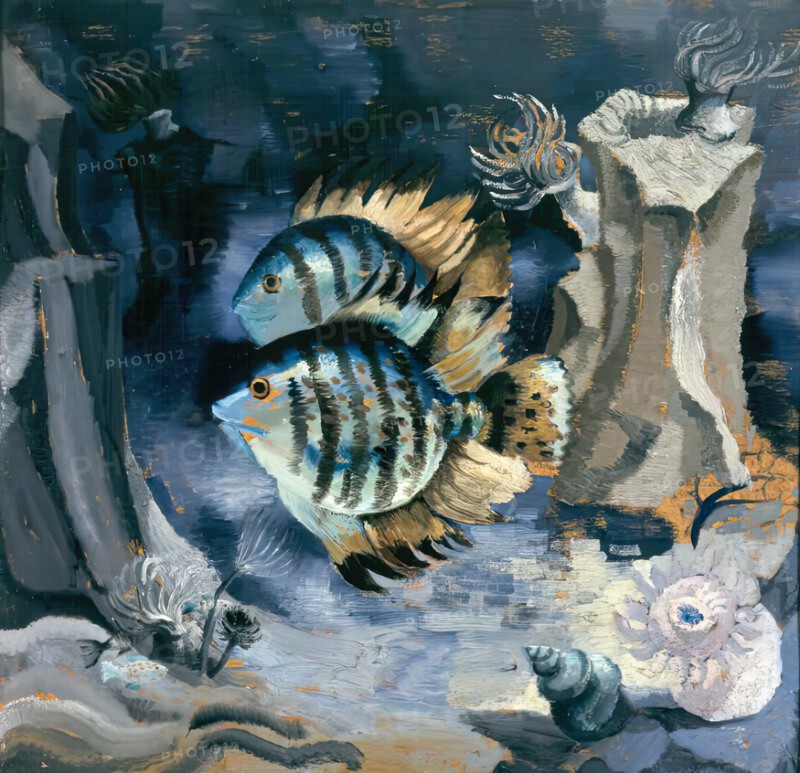 Angelfish - London Aquarium, 1930. Creator: Christopher Wood.