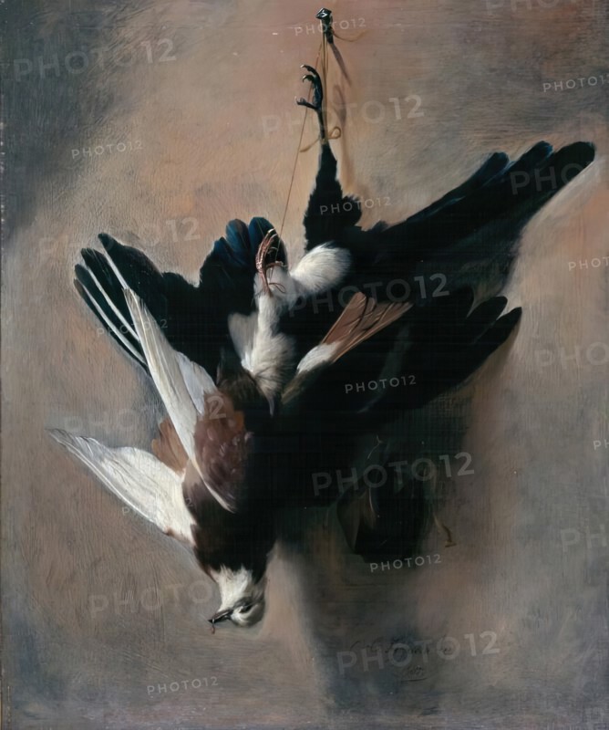 A Pigeon and Magpie, 1685. Creator: William Gowe Ferguson.