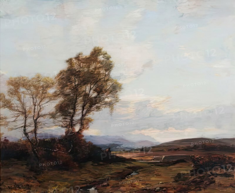 Looking up Strathspey, c1870-1910. Creator: James Campbell Noble.