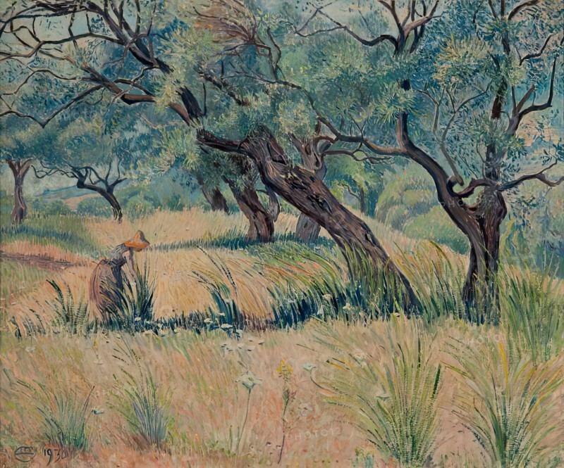 Les Oliviers, (Oliveraie Morning), 1930. Creator: Lucien Pissarro.