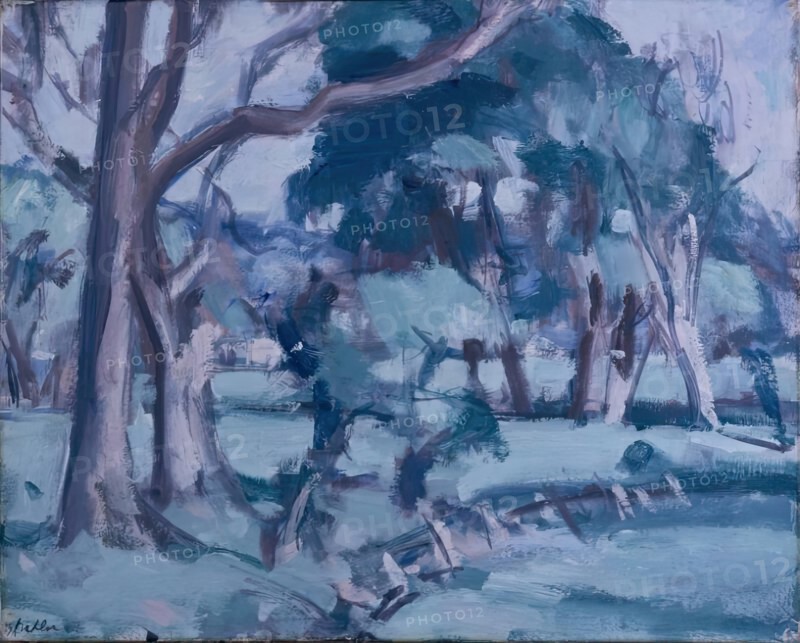 Landscape, 1932. Creator: Samuel John Peploe.