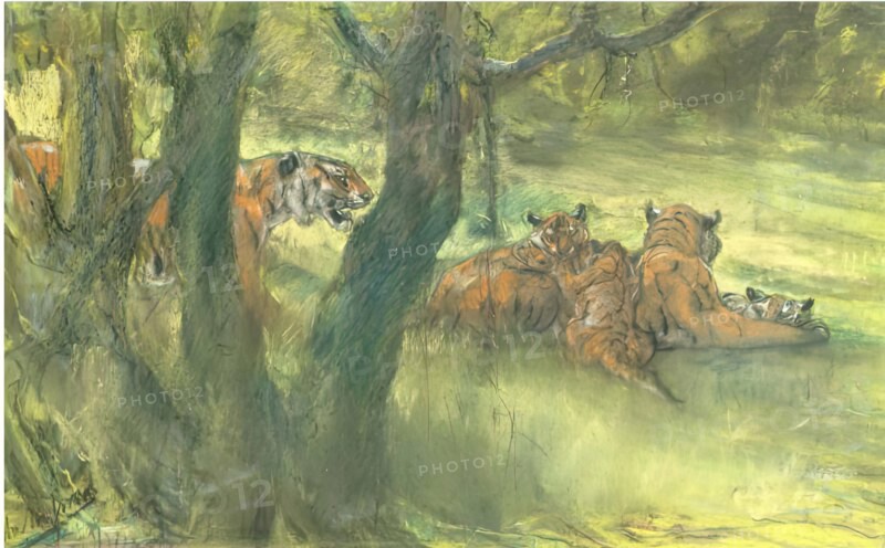 Landscape with Tiger and Cubs, 1900-1910. Creator: John MacAllan Swan.