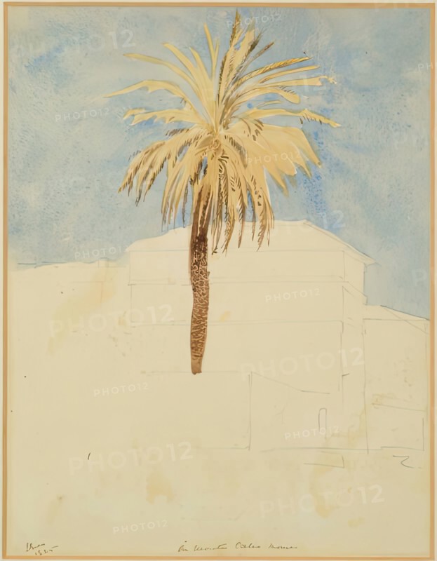 On Monte Calio, Rome - Palm Tree, 1825. Creator: James William Giles.