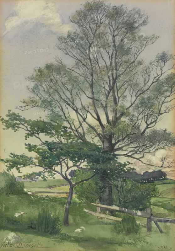 Landscape, 1902. Creator: Gordon Mitchell Forsyth.