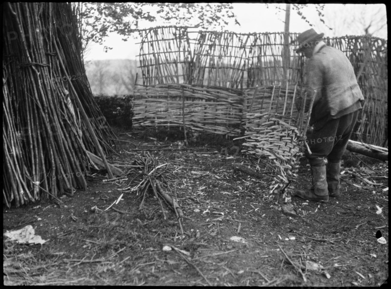 A hurdle maker at work near the town of Alton, East Hampshire, Hampshire, 1920-1960. Creator: George R Long.