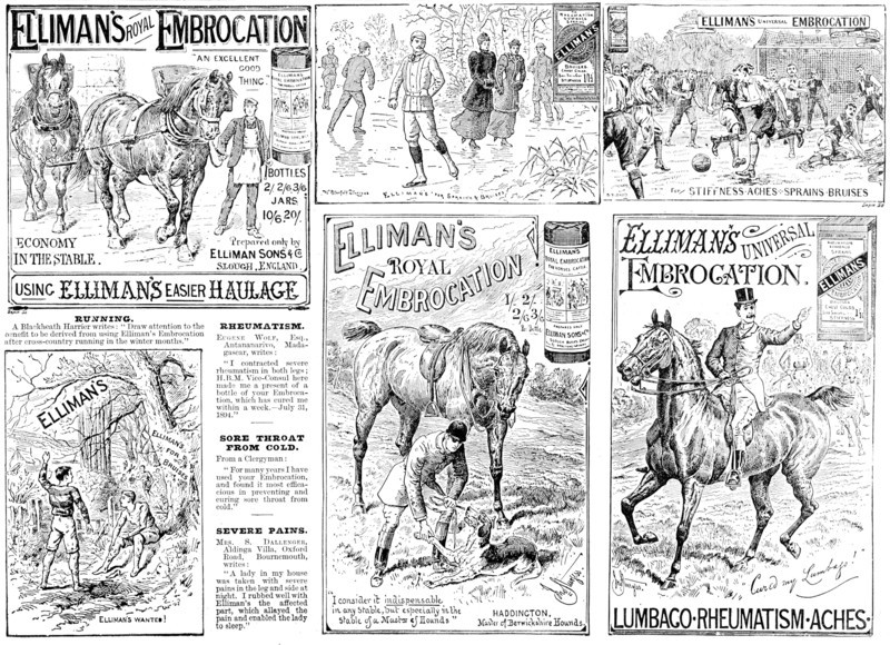 Advertisement for Elliman's Royal and Universal Embrocations, 1895. Creator: Unknown.