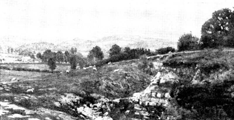 Pictures from the New Gallery: A Somerset Pastoral - L. Leslie Brooke, 1895. Creator: George Meisenbach.
