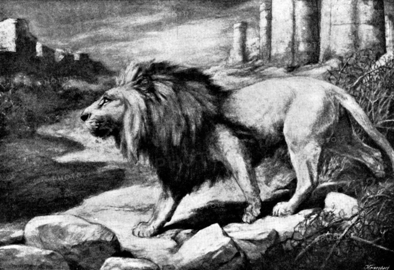Pictures from the New Gallery: Lord of the City - Harry Dixon, 1895. Creator: George Meisenbach.