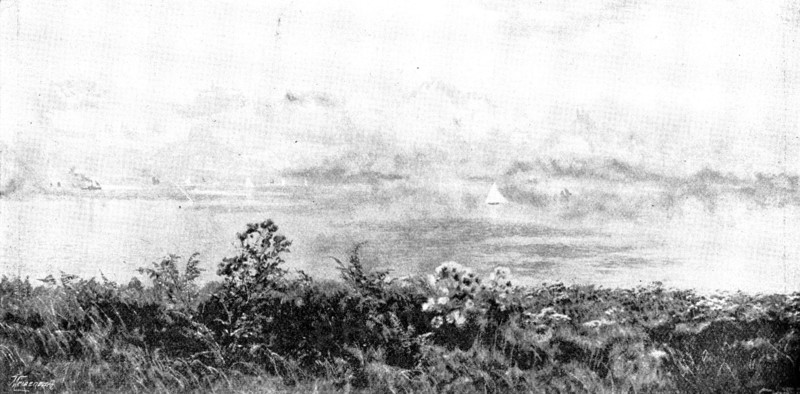 Pictures from the Royal Academy: The Outlook from my Native Cliffs - J. Brett, A.R.A., 1895. Creator: George Meisenbach.
