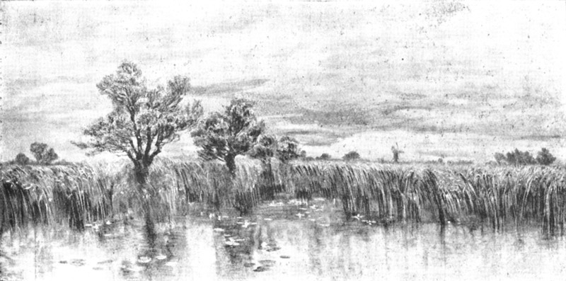 Pictures from the Royal Academy: Probably some Rain - J. Brett, A.R.A., 1895. Creator: George Meisenbach.