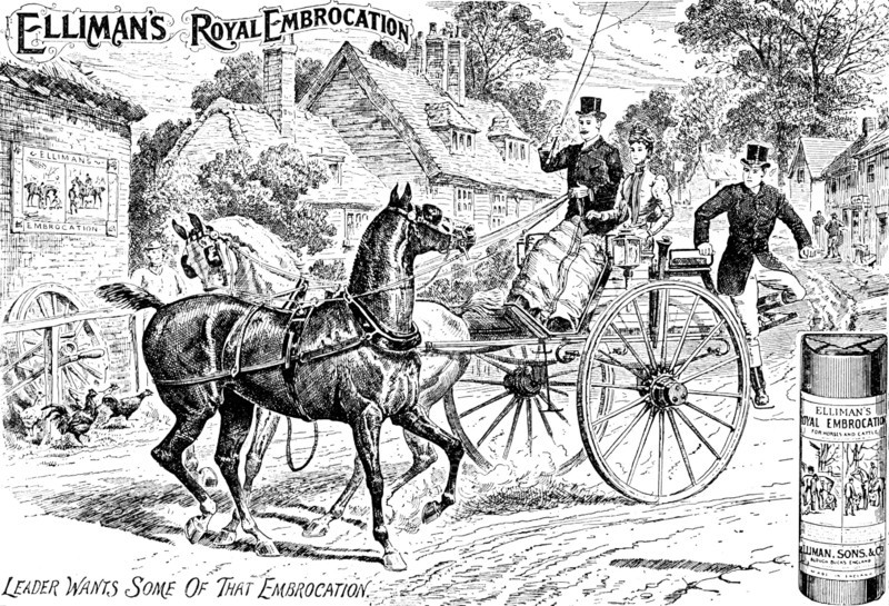 Advertisement for Elliman's Royal Embrocation, 1895. Creator: Unknown.