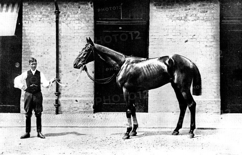 The Winner of the Derby: Lord Rosebery's Sir Visto, 1895. Creator: Clarence Hailey.